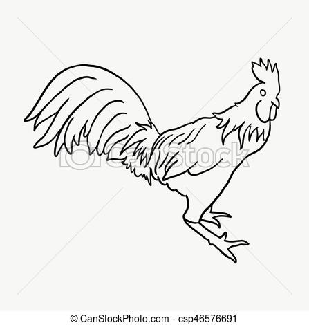 447x470 Rooster Animal Hand Drawing. Rooster Poultry Animal Hand Drawing