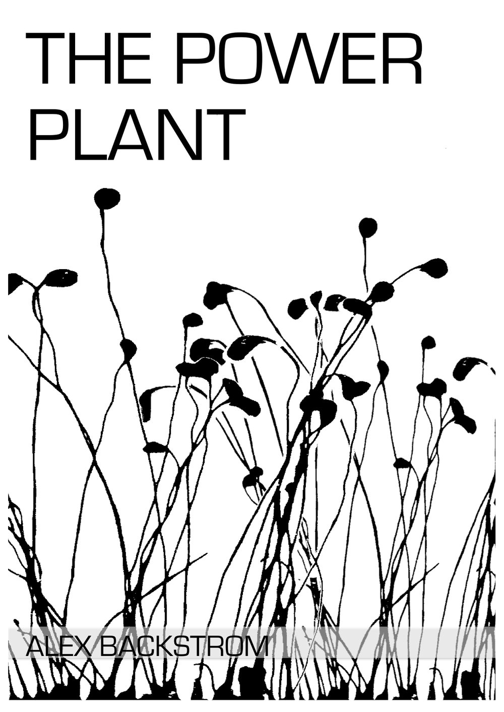 1000x1413 The Power Plant Alex Backstrom