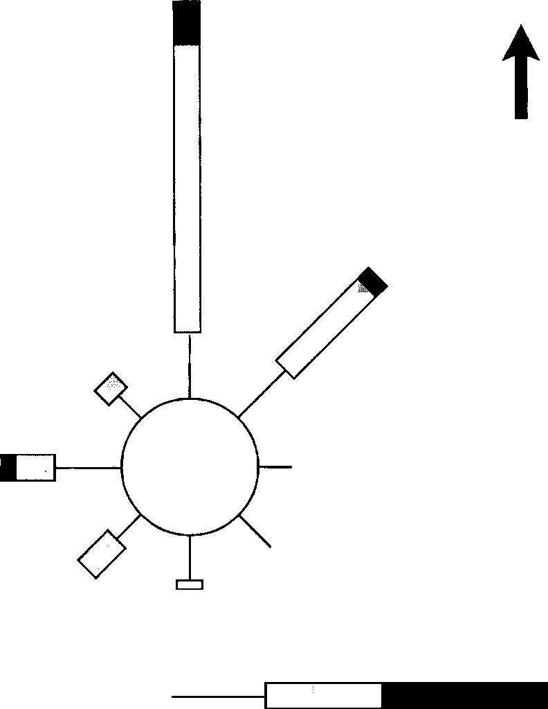 792x1023verage Wind Rose During Sampling Period In The Vicinity