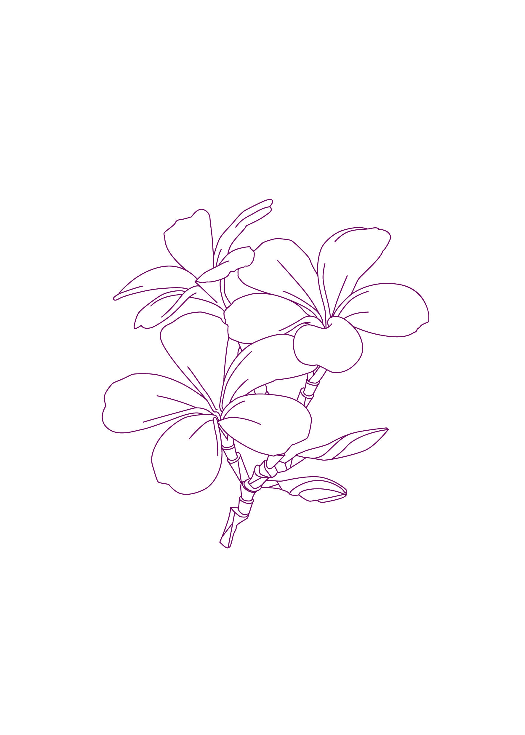 1772x2480 Cinq Mondes Flower Power Drawing