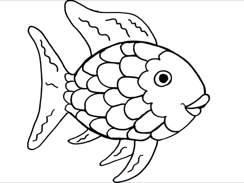800x600 Inspirational Pretty Color Pages Best Of The Rainbow Fish Coloring