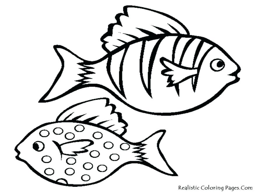 878x659 Cartoon Fish Drawings