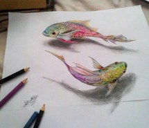 215x185 Drawing + Fish Images