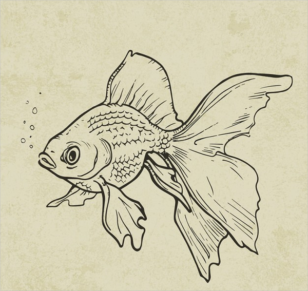 600x567 Drawn Fish Ink