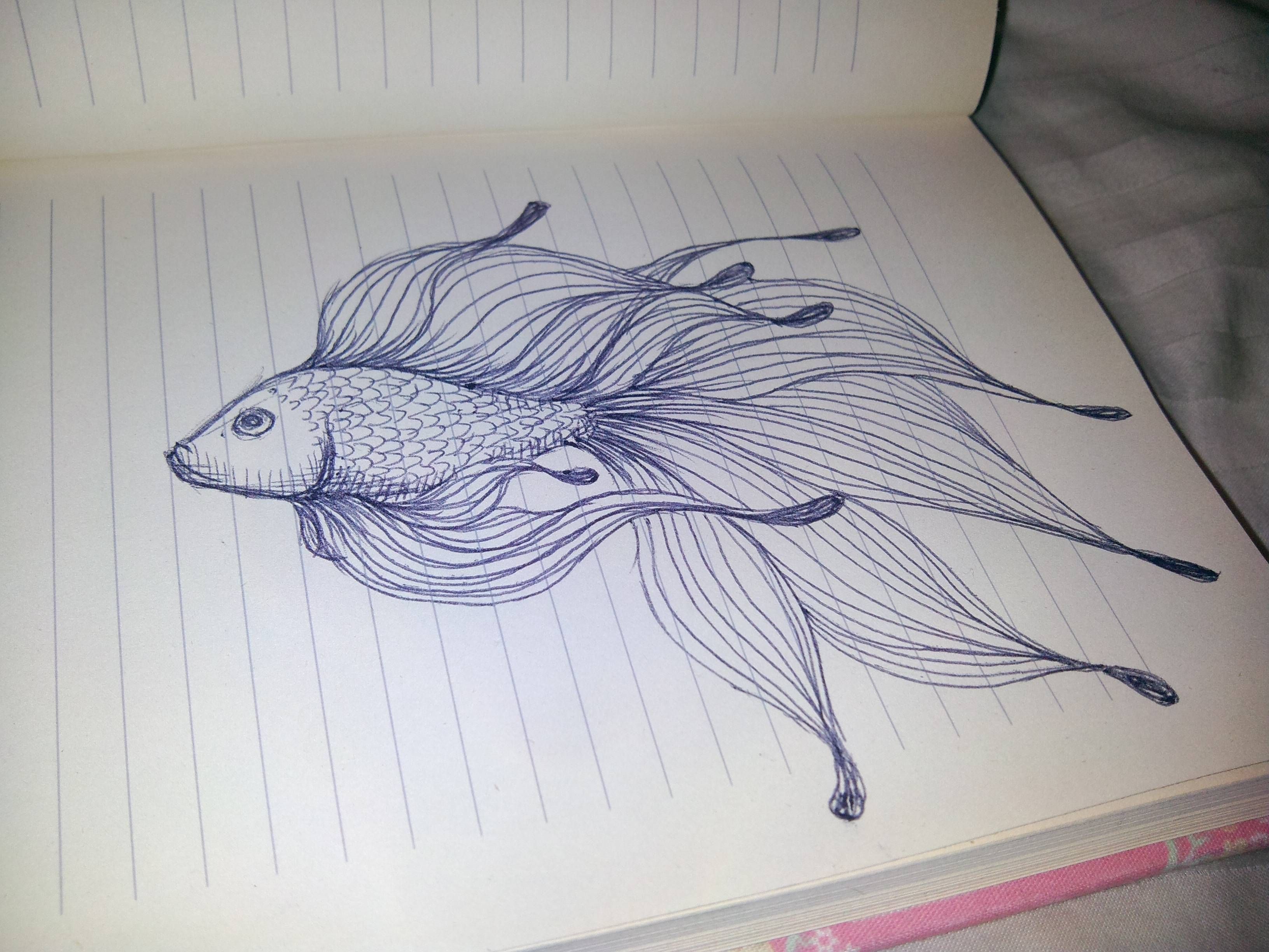 3264x2448 Pretty Fish Drawing