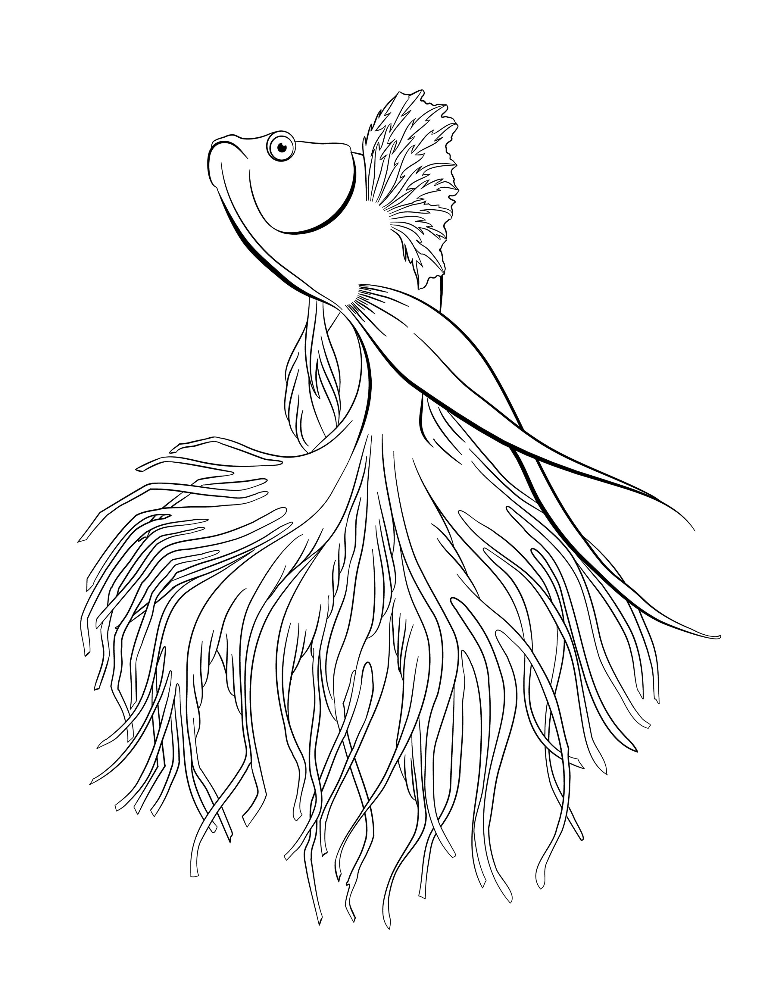 2550x3300 Drawing A Betta Fish To Colour. Steemit