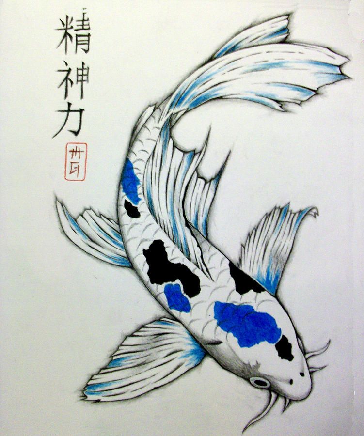 Pretty Koi Fish Drawing at GetDrawings | Free download