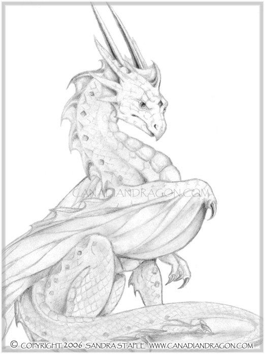 522x697 Dragon Drawings Pride, Dragon Character, Graphite Pencil