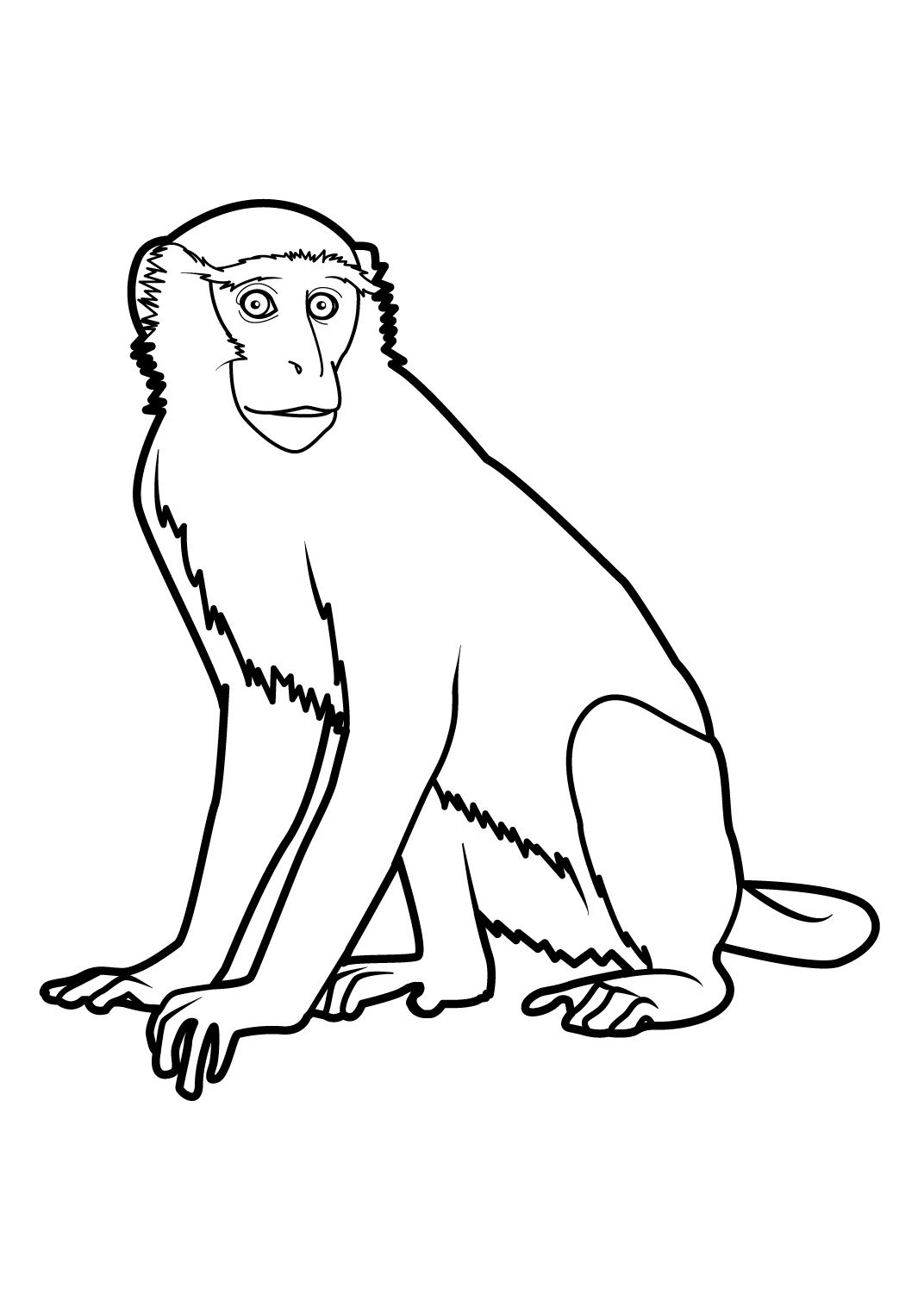 1072x1516 Monkey