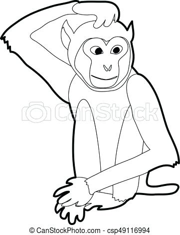 361x470 Monkey Outline Drawings Printable Coloring Monkey Wild Animal
