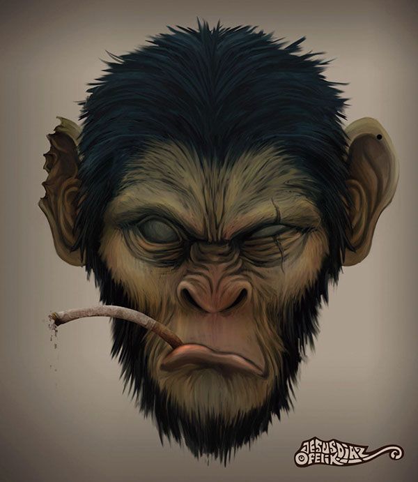 600x691 Primates By Poloverde Tattoos Primate, Monkey