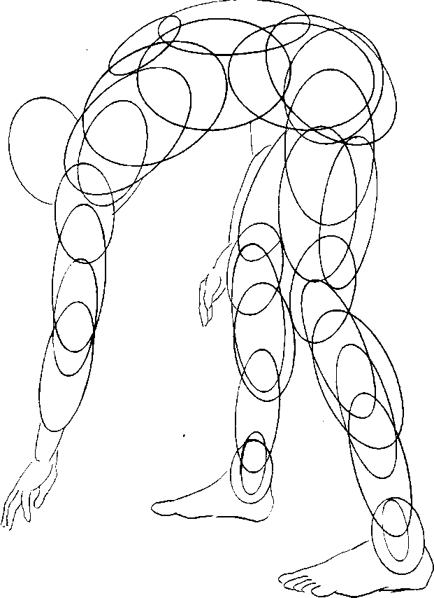 621x854 The Next Stepfter Identifying Elliptical Formis To Create