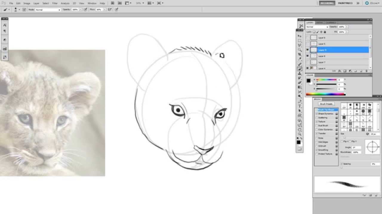1280x720 How To Draw A Basic Drawing Procedure From Loomis