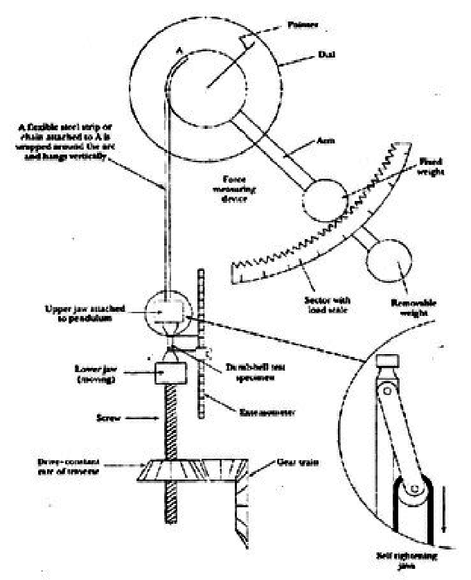 680x837 Figure 1 Process Layout Of The Experimental Design For Research