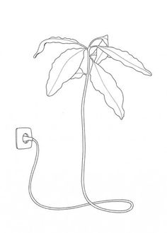 236x330 Pinky Promise To Take Better Care Of Yourself, And Use Plant Based