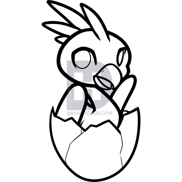 720x720 How To Draw A Baby Phoenix, Baby Phoenix, Step By Step, Drawing