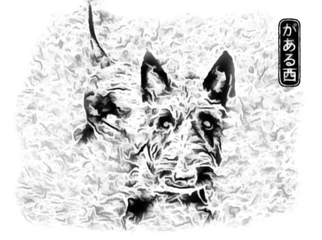 647x482 Trevor ~ First Step In Proofing. It Always Starts With Sketches