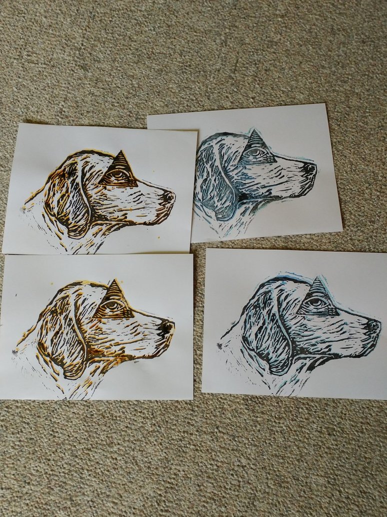 774x1033 Proofing Of Illumidoggy By Sithario