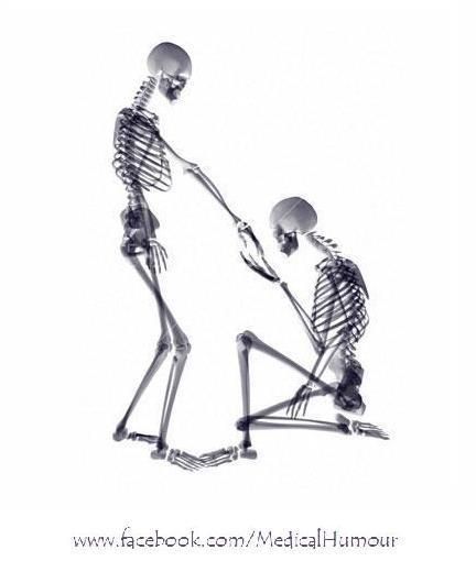 432x510 Proposal X Ray Proposals And Anatomy Art