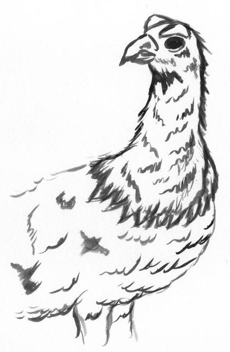 473x723 State 2 Alaska 50birds