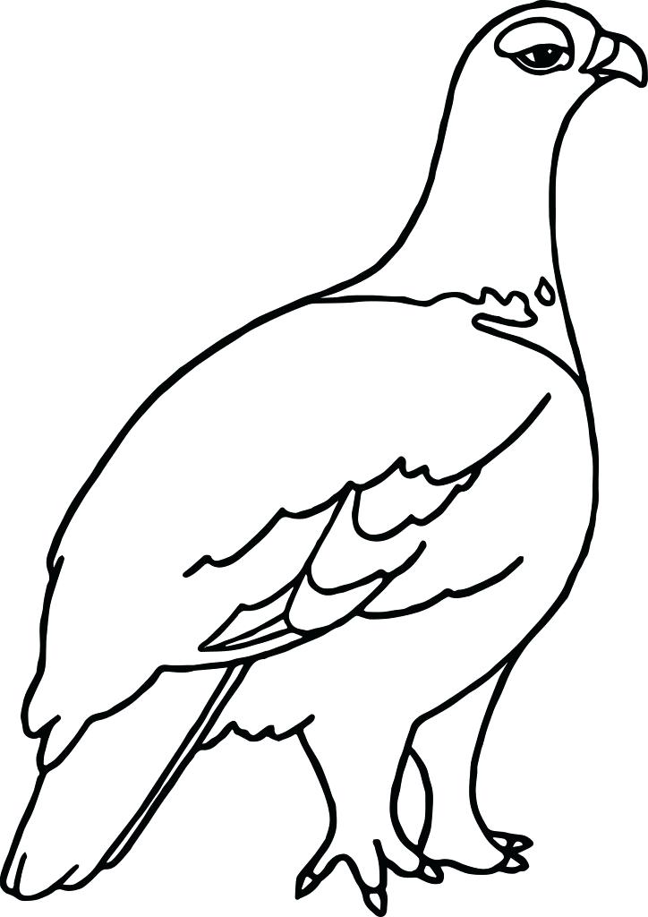 724x1024 Alaska Flag Coloring Page Fuhrer Von