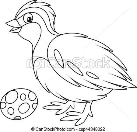 450x434 Bird Quail Illustrations And Clip Art. 334 Bird Quail Royalty Free