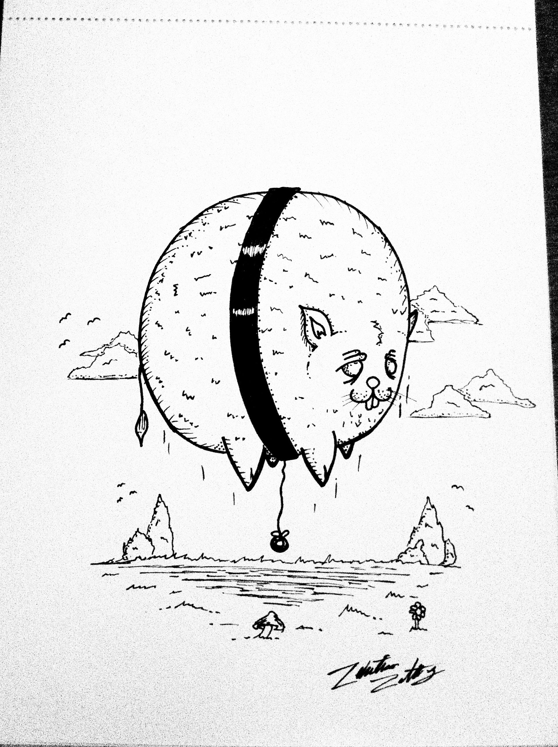 1936x2592 Copyright To Zebastian Zattberg If You Want To Publish This