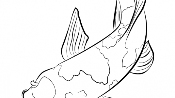 585x329 Fish Pictures Drawings Coloring Pict Inductionheatingcn Fish