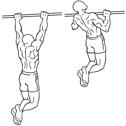 431x432 Pull Ups Strengthen Your Back, Core, Biceps And Grip Strength.
