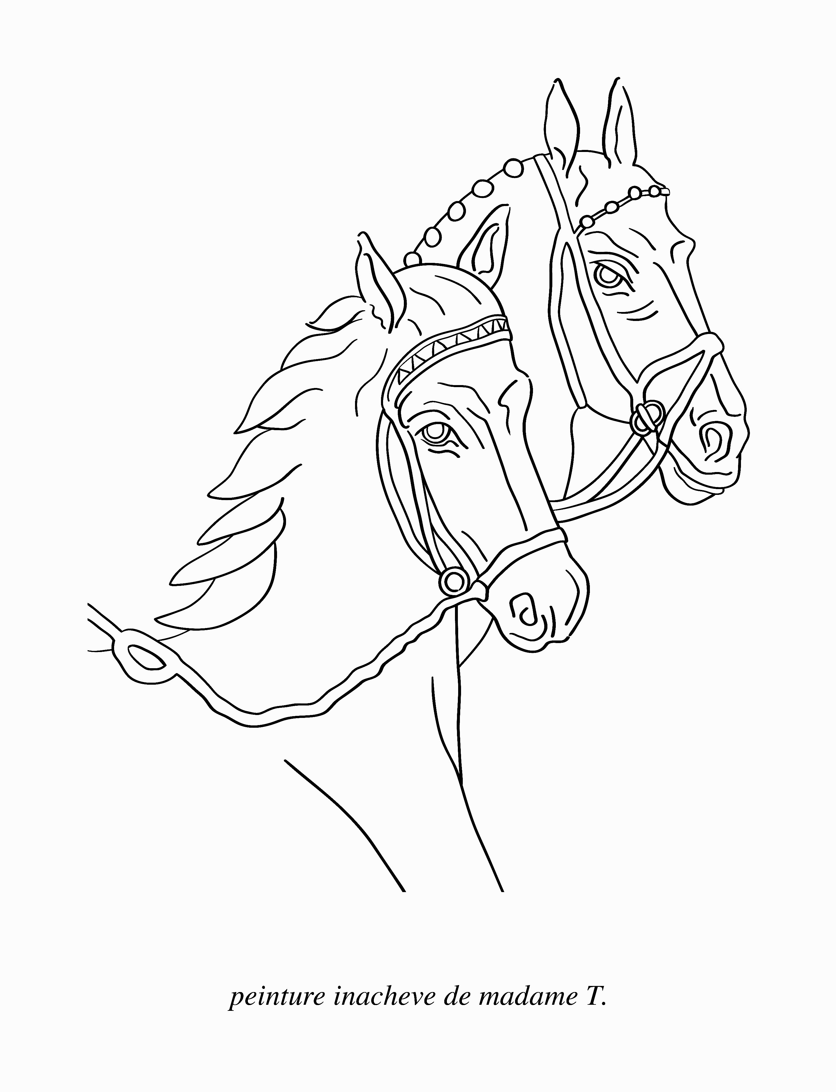 2894x3780 Peinture Inacheve De Madame T. Book Amp Drawings Leen Voet