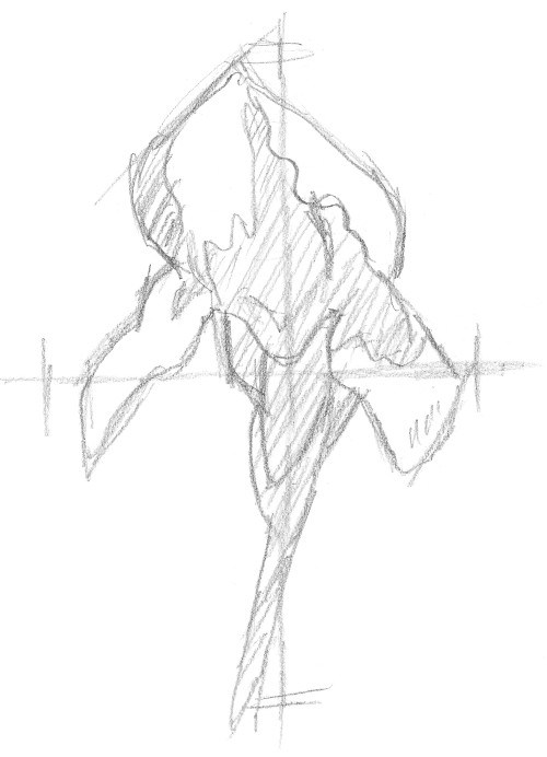 500x692 My New Drawing Book Is Being Published! Drawing Secrets Revealed