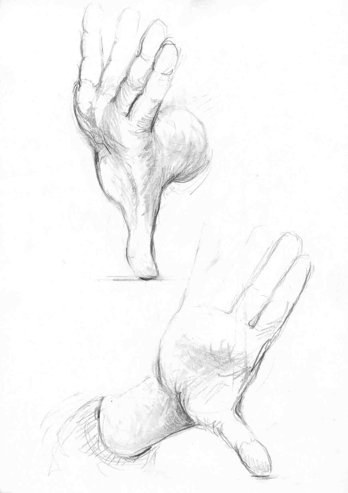 1220x1730 Thumb Push Ups Study