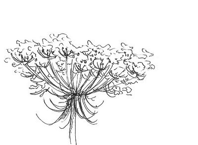 400x293 27 Best Coloring Pages Images On Embroidery, Plants
