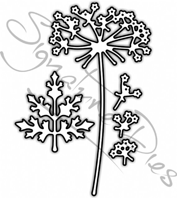 570x639 Signature Dies