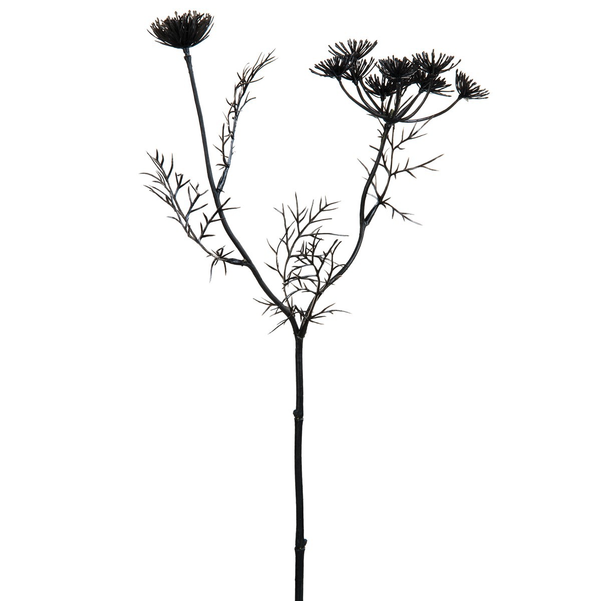 1200x1200 Spray Queen Anne's Lace H43 Cm Green Sia