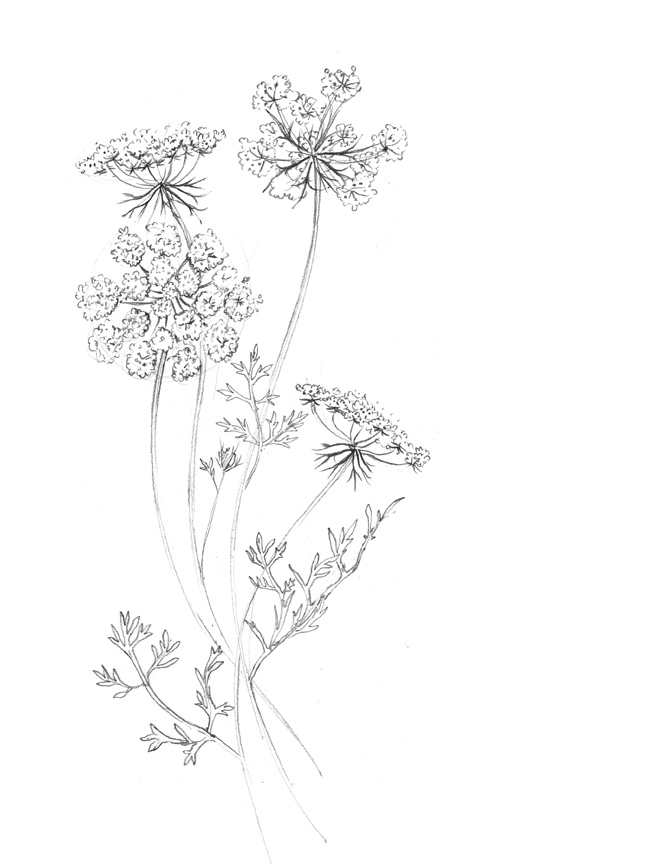 668x864 Sugar Skull Lady Costume