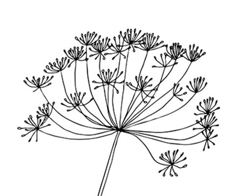 500x400 How To Make Your Own Natural Dye