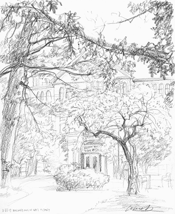 595x729 Hindsight Process