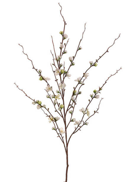 460x613 Quince Blossom Branch Cream 45in