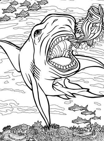 338x458 Quiver Coloring Pages Free Dover Vol 1 Archives Quiver Free