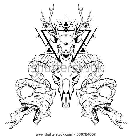 450x470 Image Result For Rabbit Skull Drawing Art Vector