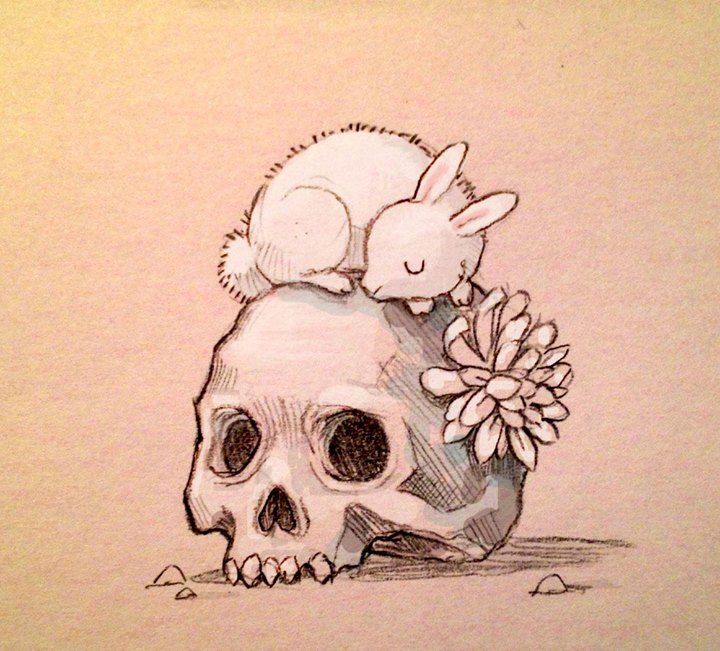 Rabbit Skull Drawing at GetDrawings | Free download