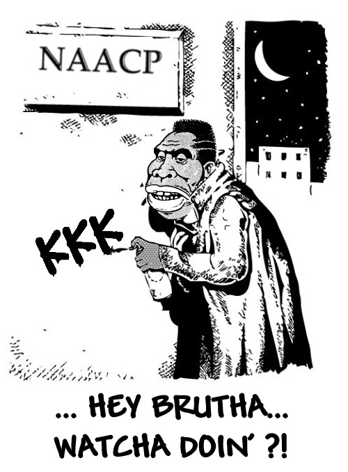 500x678 Hoaxes Anti Racist Lies