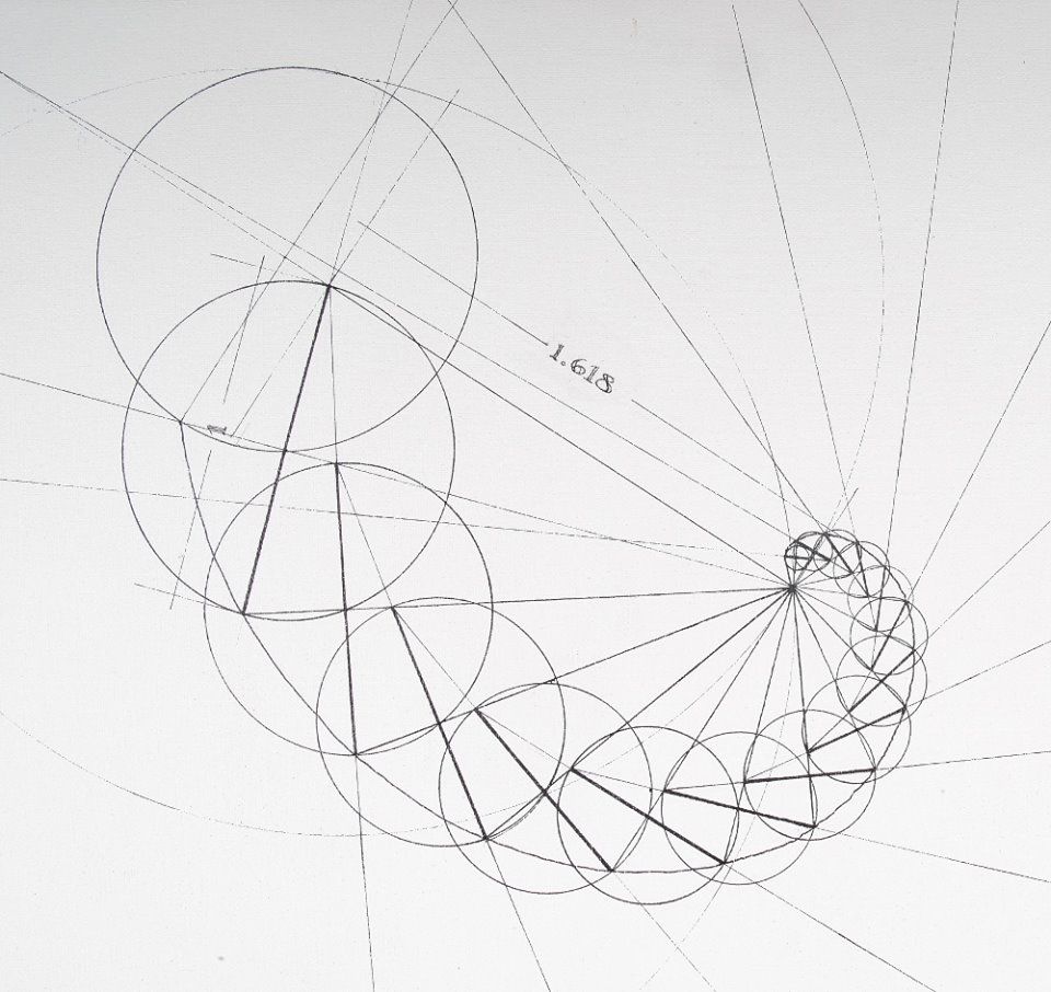 960x906 Golden Ratio Sacred Geometry Amp Amazing Shapes