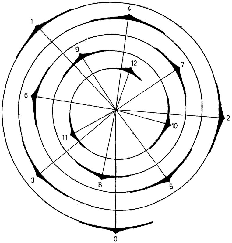 762x800 Phyllotaxis The Fibonacci Sequence In Nature