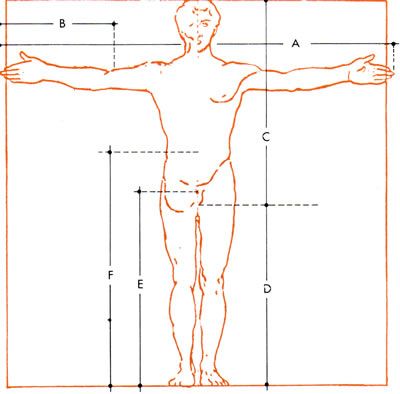 400x394 Best 85 Character Anatomy Ratio Ideas On Anatomy