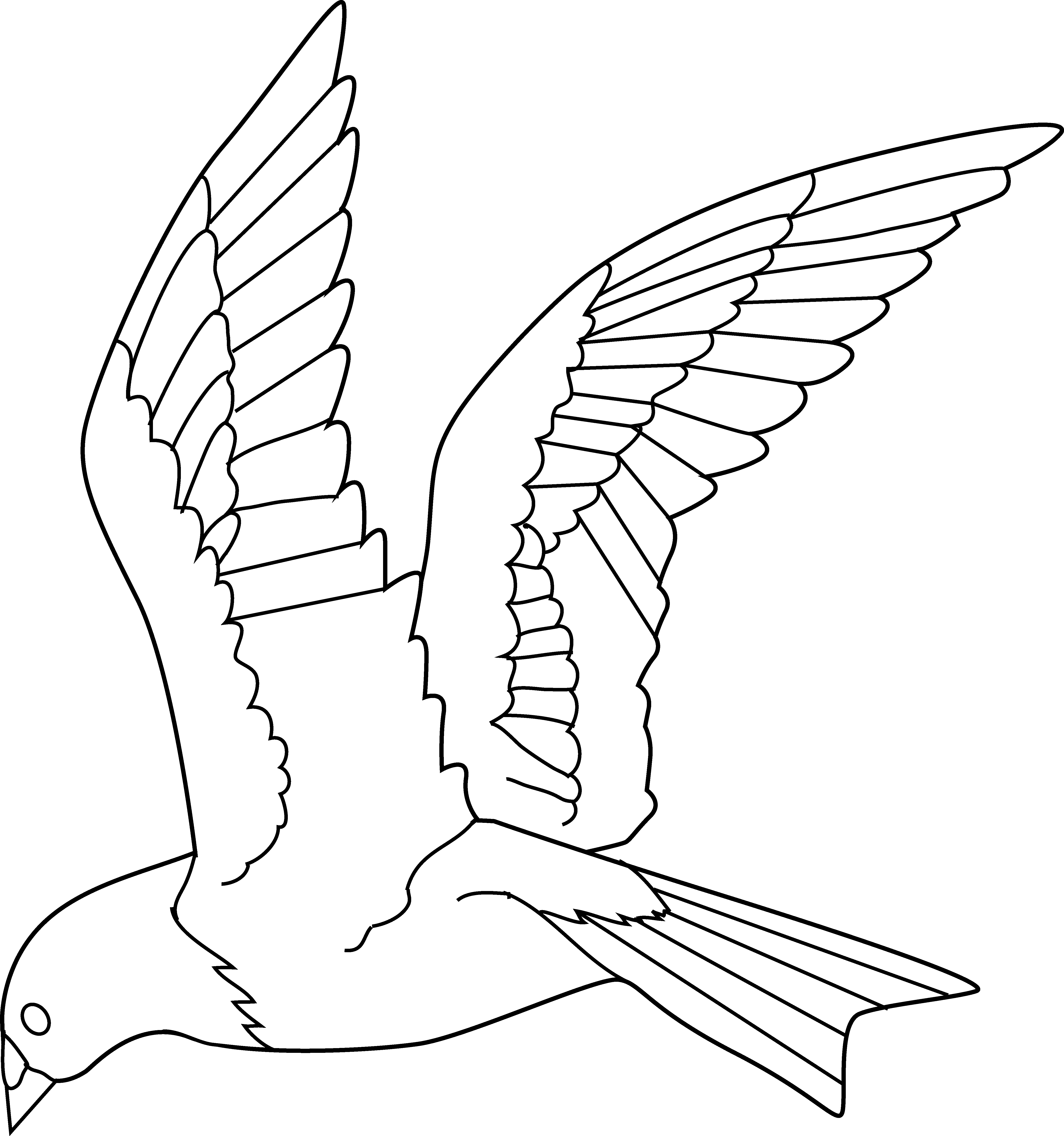 5183x5532 Flying Bird Coloring Page