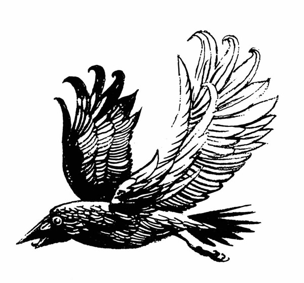 600x558 Max Schindler Black Amp White Gallery 2