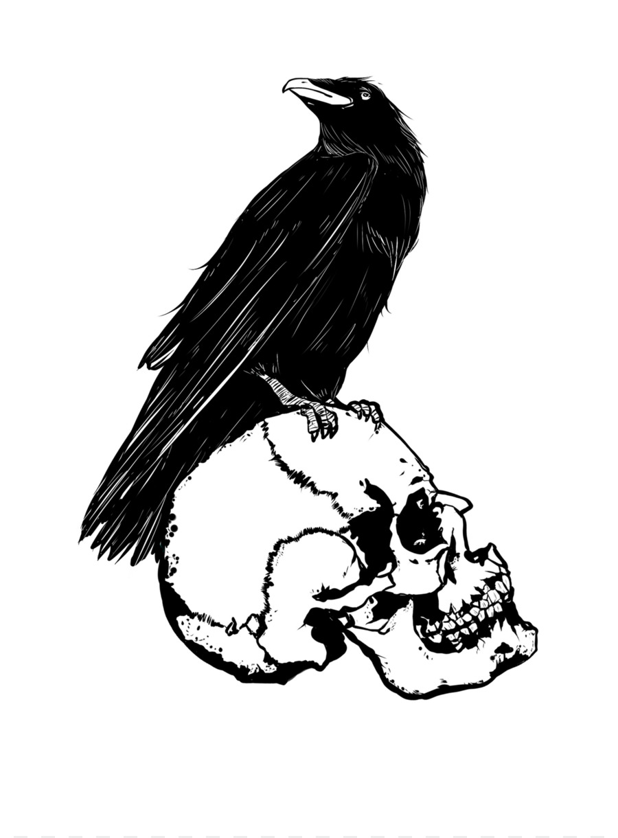 900x1220 Raven Drawing Bird Anime Monochrome