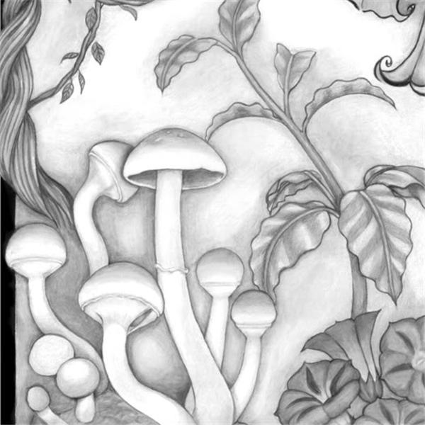 600x600 Raw Food, Veganism, Herbal Tonics And Longevity With Angelina